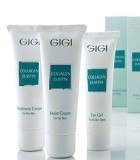 Kosmetik von GiGi - Serie Collagen Elastin - aus Israel